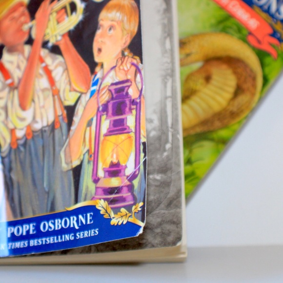 Magic Tree House Merlin Missions Book Set - Picture 10 of 10